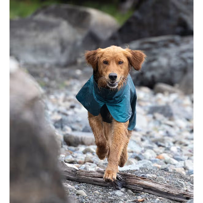 RC Pets Stormrunner Jacket by RC Pets