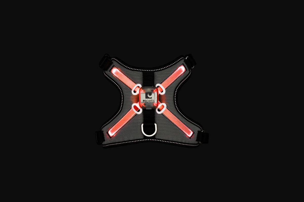 RC Pets Nova LED Light Harness