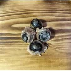 Grand Valley Quail Pet Treats Freeze Dried Cow Eyes 20g by Grand Valley Quail Pet Treats
