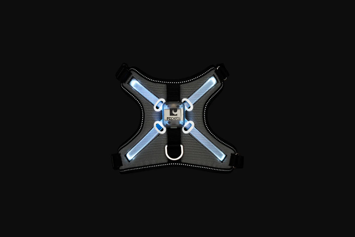 RC Pets Nova LED Light Harness