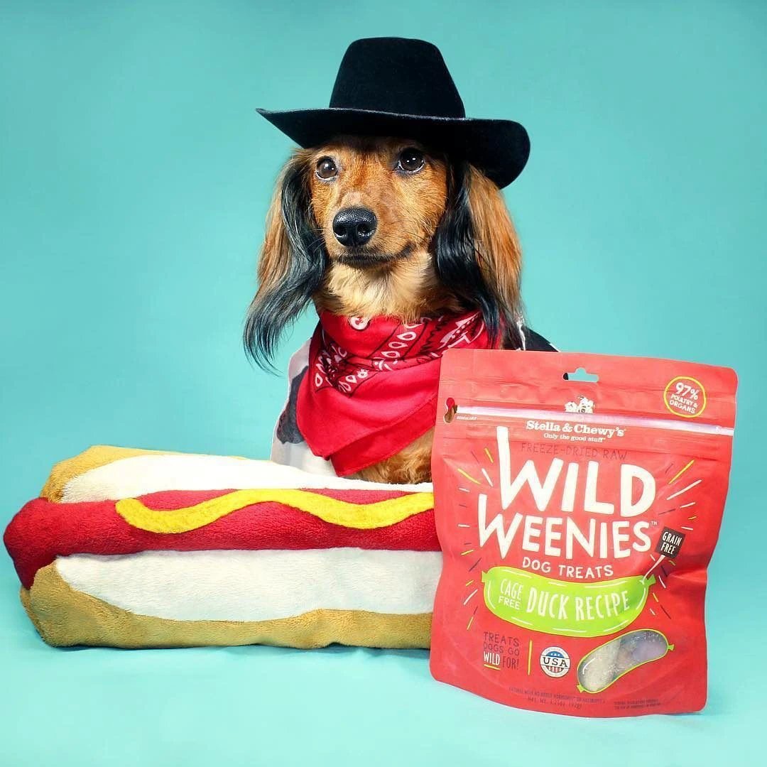 Stella & Chewy's Cage-Free Duck Wild Weenies by Stella & Chewy's