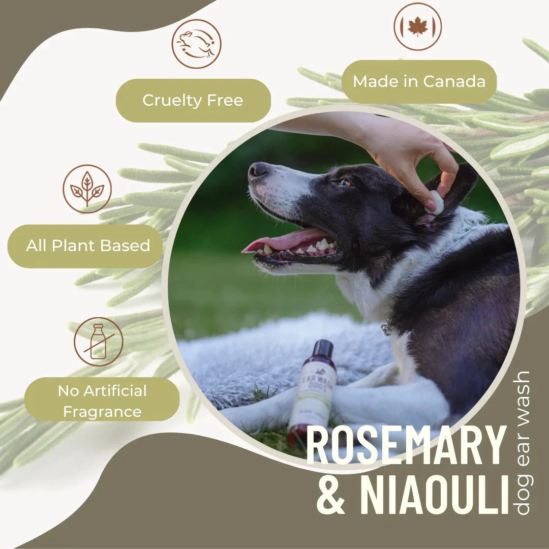 BLACK SHEEP -Rosemary & Niaouli Organic Dog Ear Wash by Black Sheep