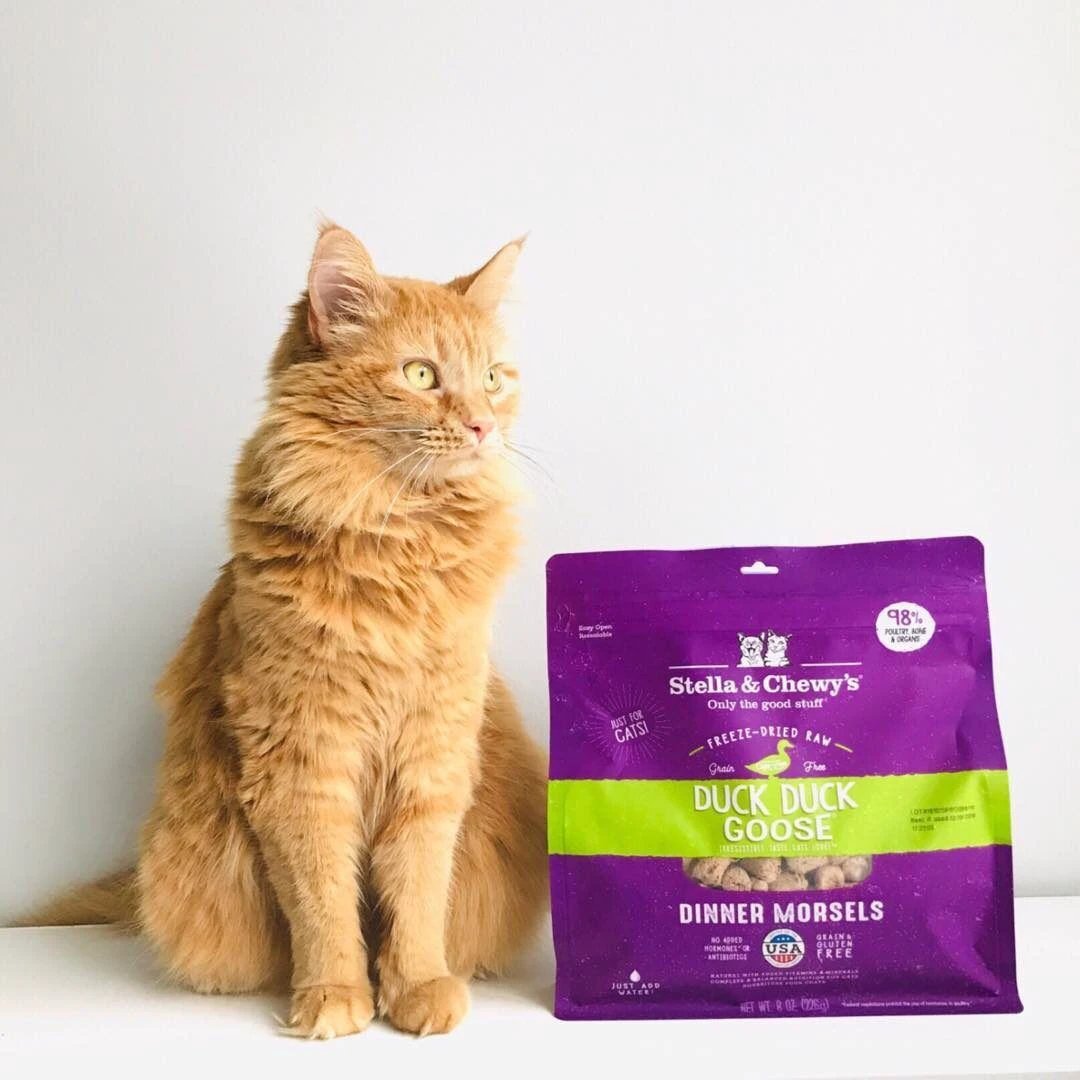 Stella & Chewy's Duck Duck Goose Freeze-Dried Raw Dinner Morsels Cat Food by Stella & Chewy's