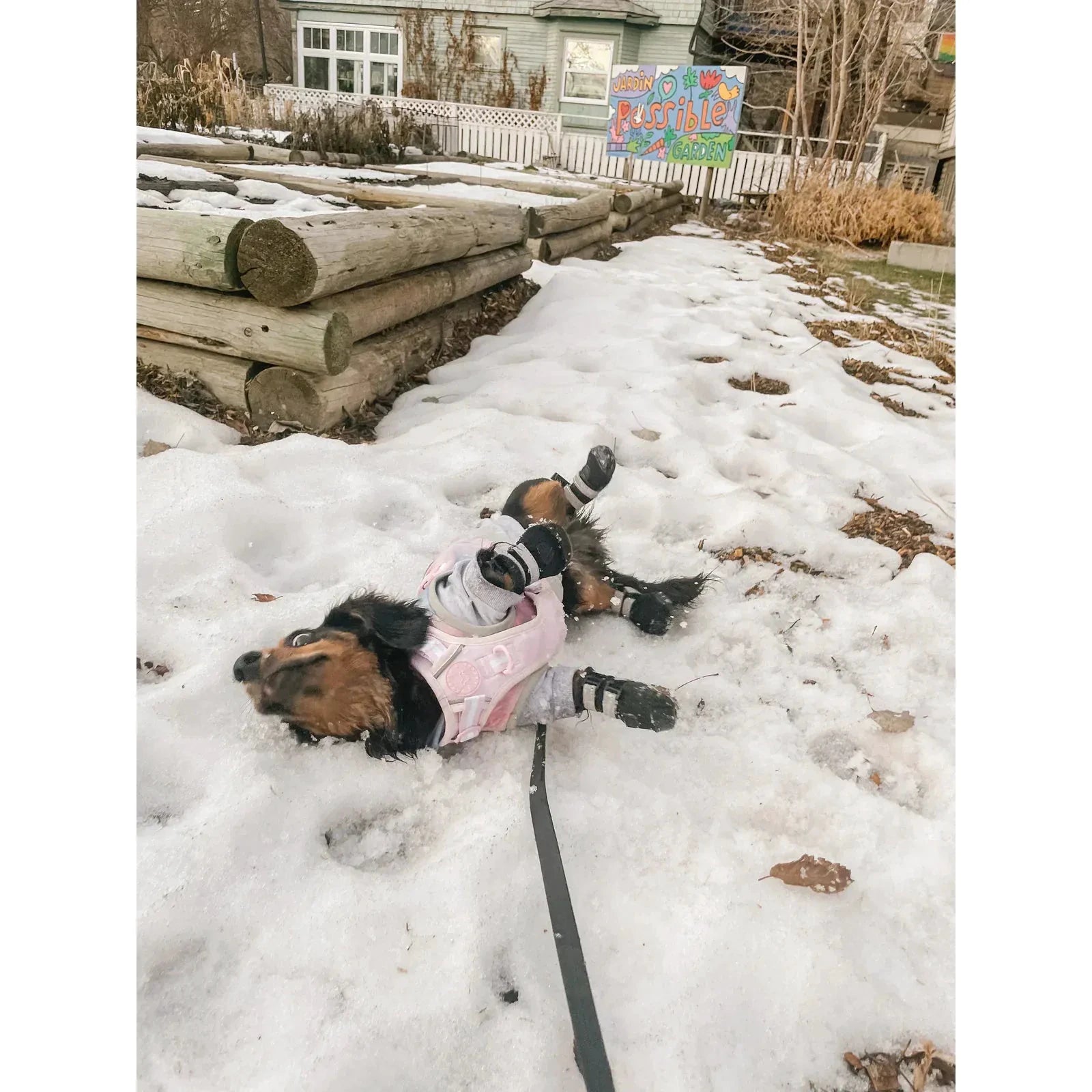 Sharper Barker Harness by Sharper Barker