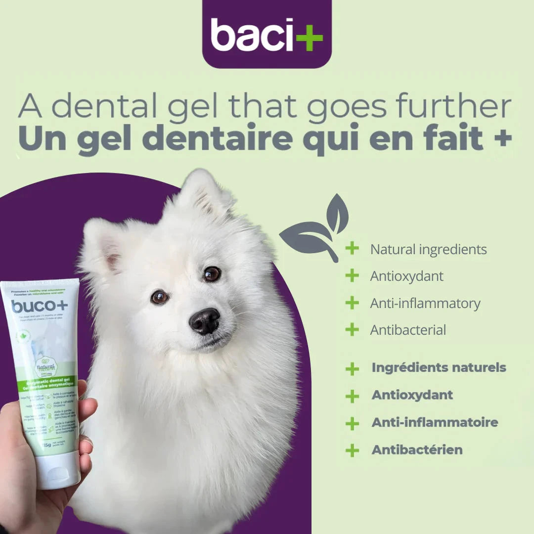 Baci Dental Gel Buco+ | Enzymatic Care | Cats and Dogs by BUCO+