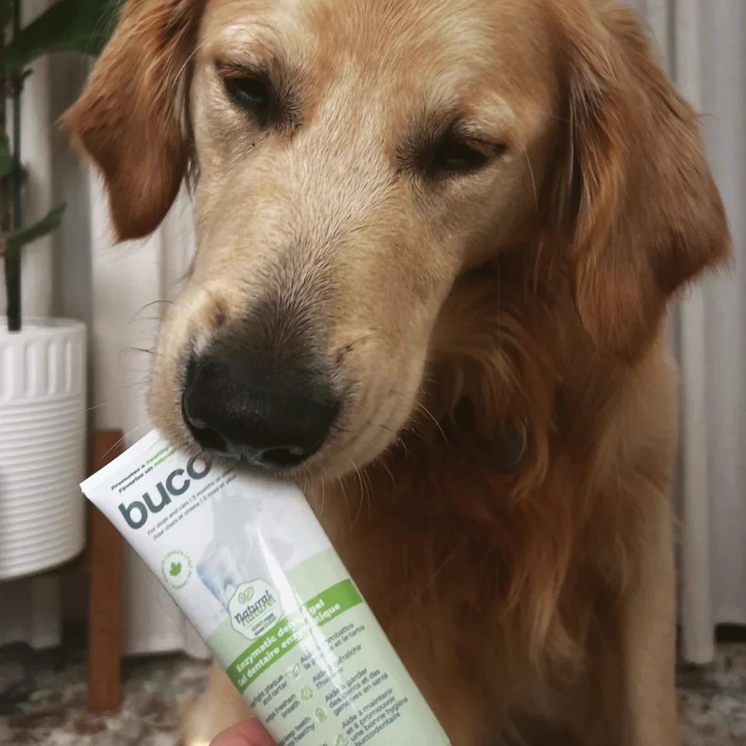 Baci Dental Gel Buco+ | Enzymatic Care | Cats and Dogs by BUCO+