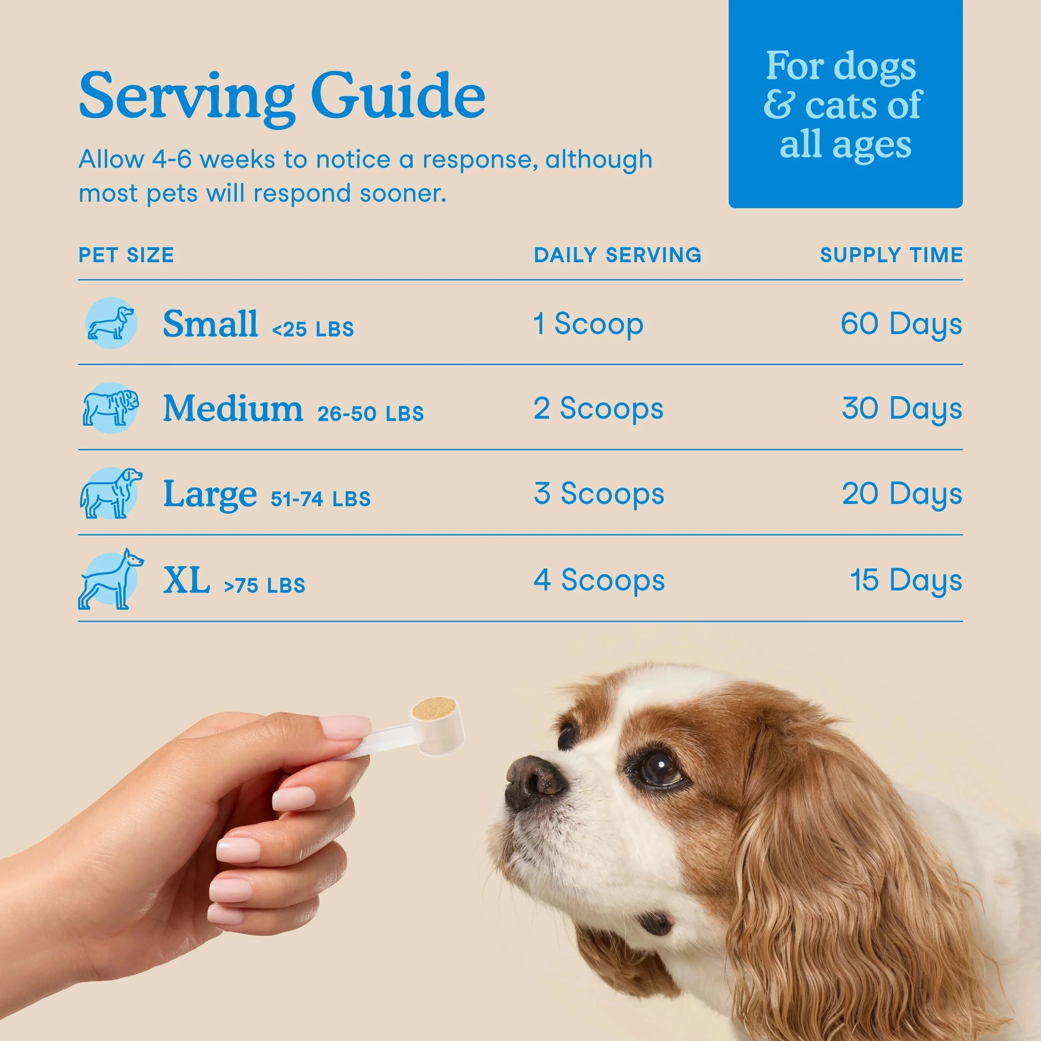 Fera Pets Dental Support For Cats + Dogs by Fera