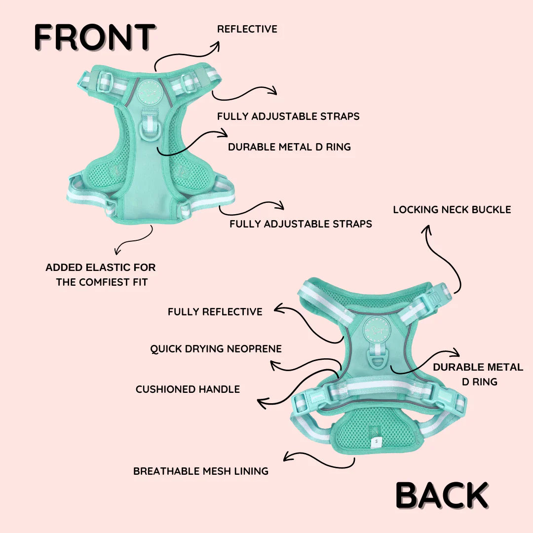 Sharper Barker Harness