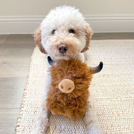 TALL TAILS® Highland Cow with Squeaker Dog Toy