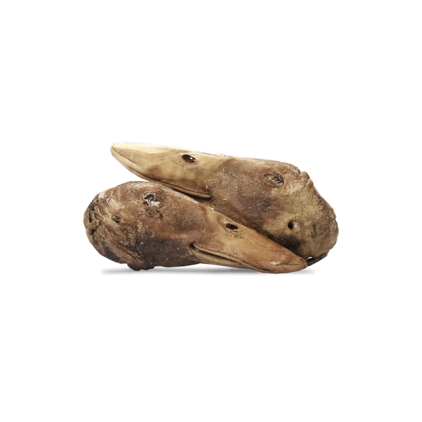 Vital Essentials® Duck Head