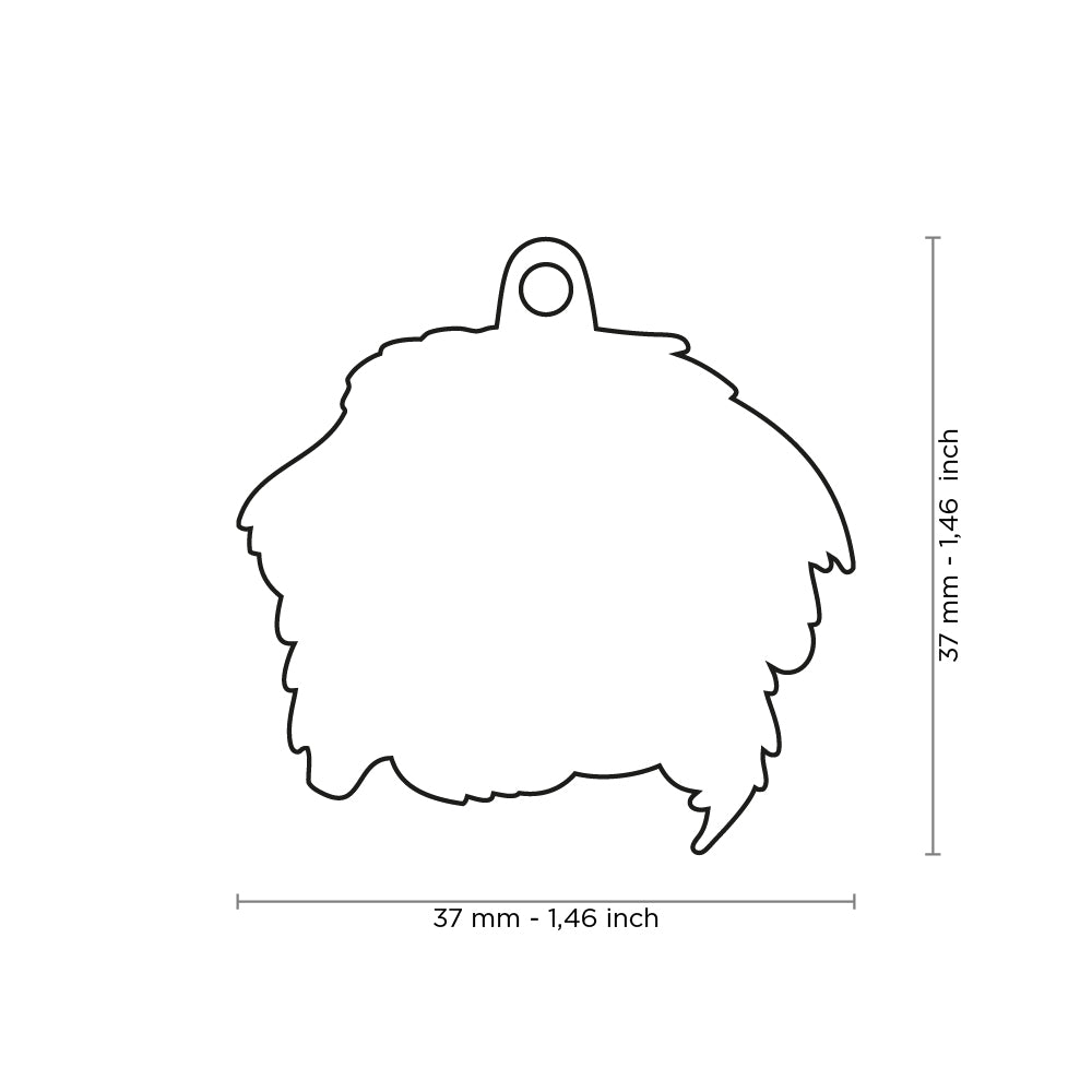 Mes amis de la famille Bouvier bernois