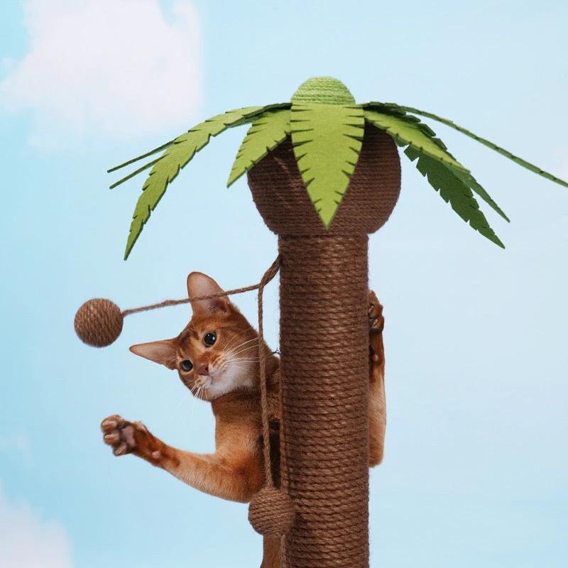 Zeze Coconut Scratching Cat Tree by Zeze