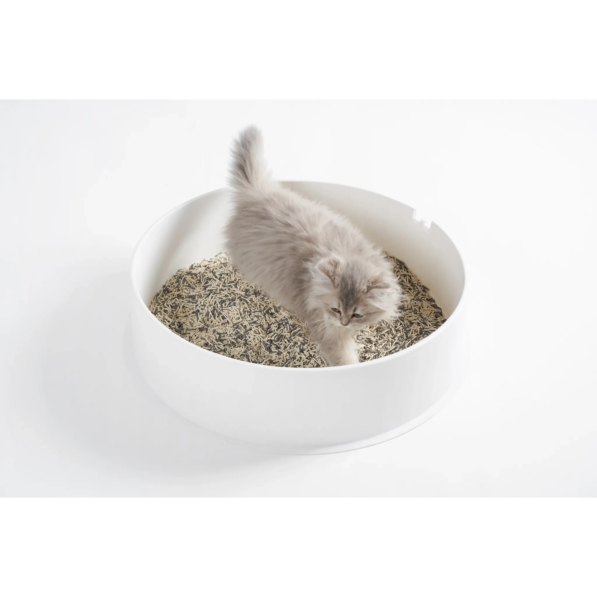 Pidan 3-in-1 Blend Cat Litter, Pail | 5.2 kg by Pidan