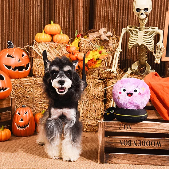 Hugsmart Witchy Dog Crystal Ball by HugSmart