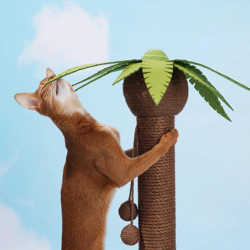 Zeze Coconut Scratching Cat Tree by Zeze