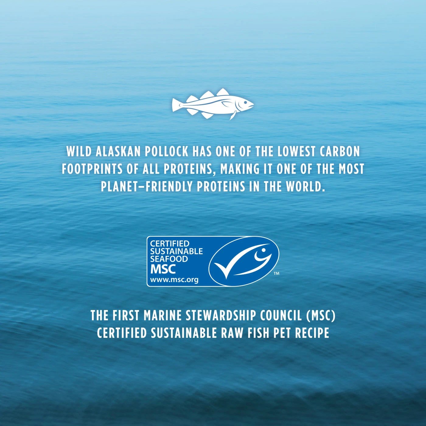 Instinct® dog Food Raw Longevity 100% Freeze-Dried Raw Meals Wild-Caught Alaskan Pollock Recipe for Adults 7+ by Instinct