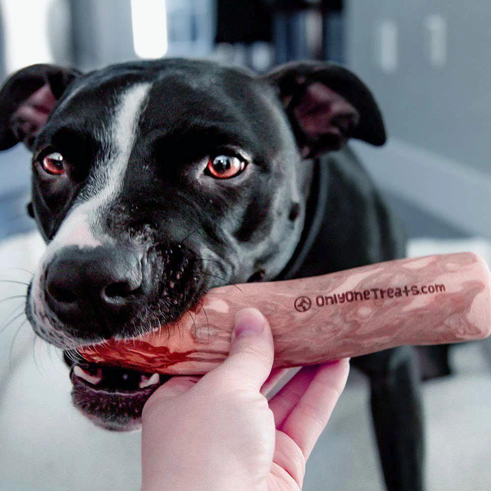 Only One Treats Coffee Wood Chew for Dogs by Only One Treats
