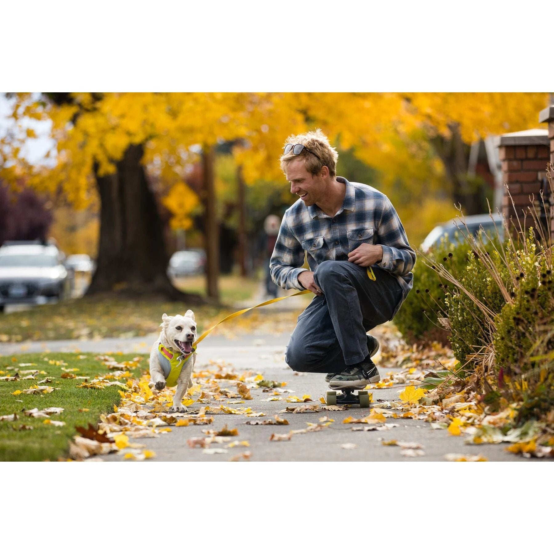 Ruffwear Hi & Light™ Leash by Ruffwear