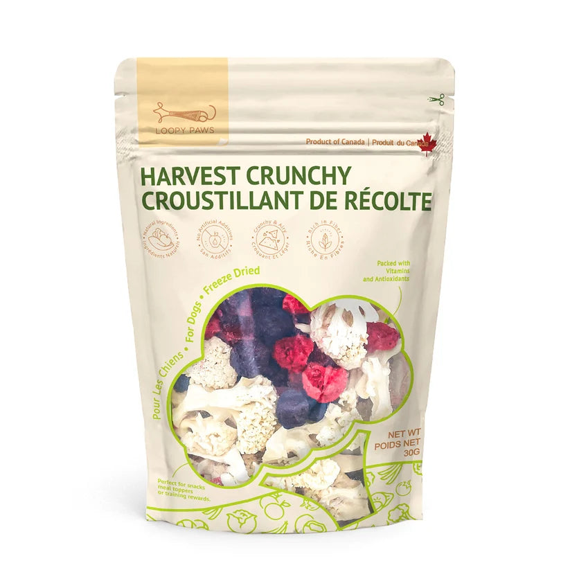 Loopy Paws Harvest Crunchy Cauliflower Mixed 30g, Freezed Dired Treats for Dogs & Cats