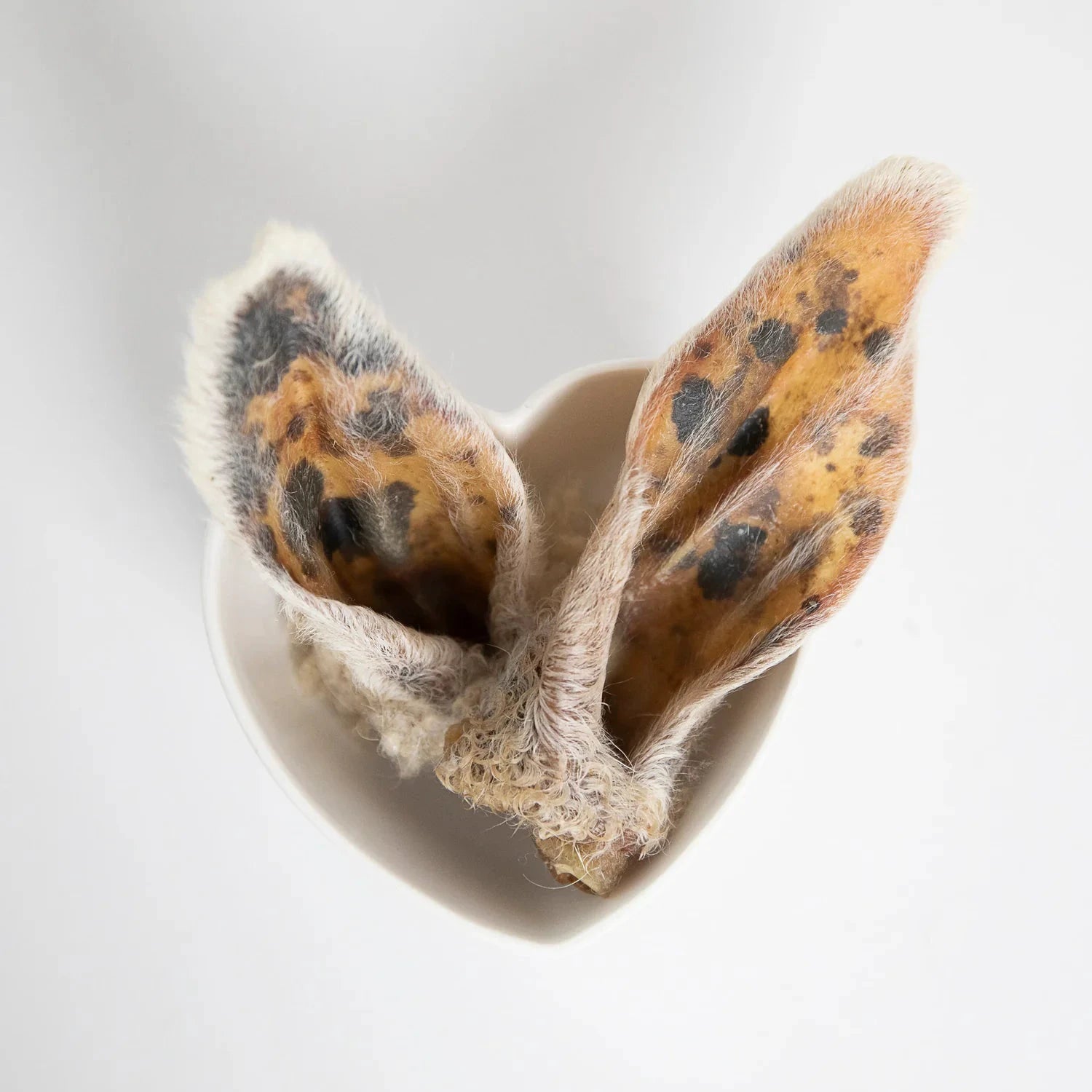 Grand Valley Quail Pet Treats Lamb Ears With Fur (packaged) by Grand Valley Quail Pet Treats