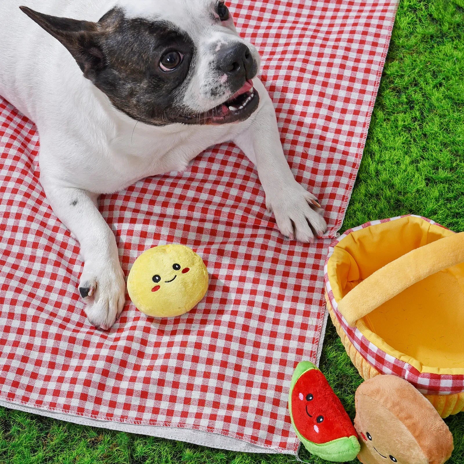 HugSmart Picnic Time-Picnic Basket by HugSmart