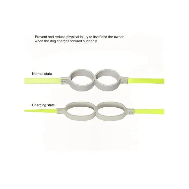 Laisse pour chien absorbant les chocs Pidan