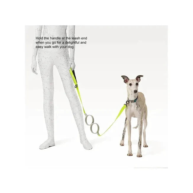 Laisse pour chien absorbant les chocs Pidan