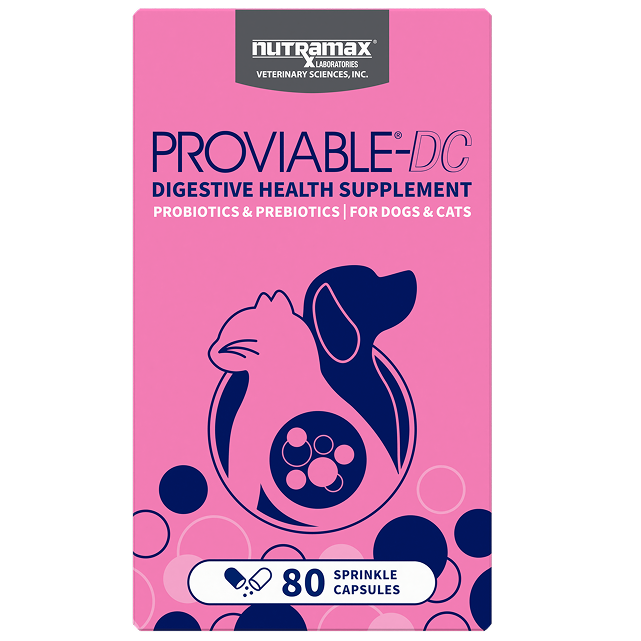 Nutramax Proviable-DC Probiotic Capsule