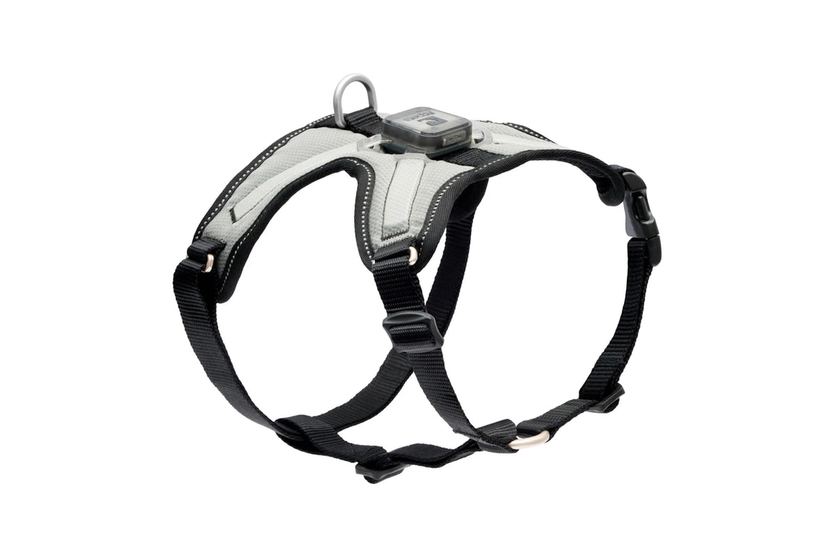 RC Pets Nova LED Light Harness