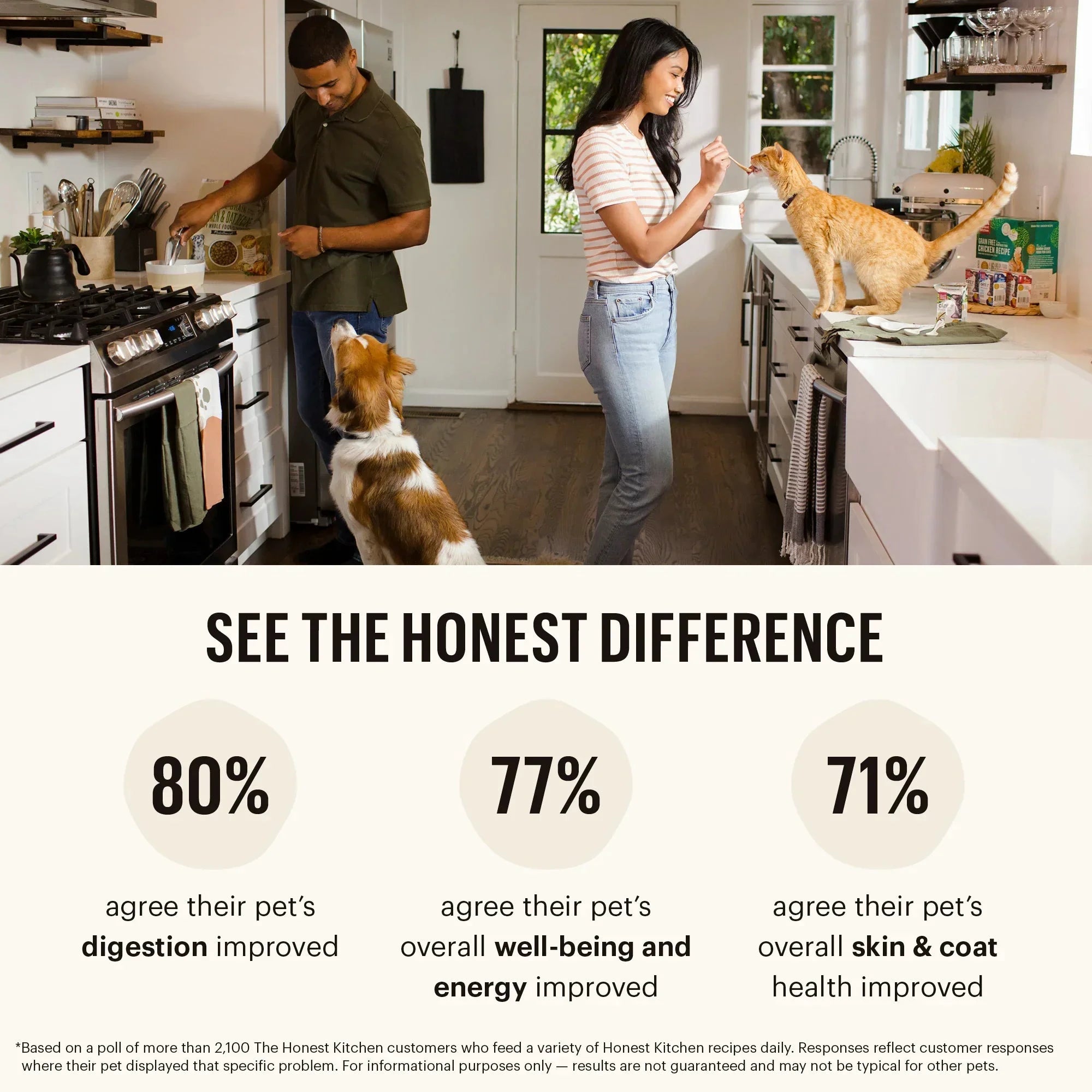 The Honest Kitchen® Minced Grain Free Chicken Recipe In A Bone Broth Gravy Wet Cat Food 5.5oz by the honest kitchen