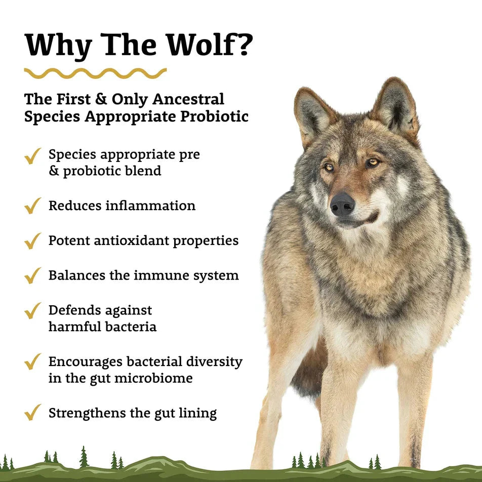 Adored Beast - The Wolf | Species Appropriate Probiotic by Adored Beast