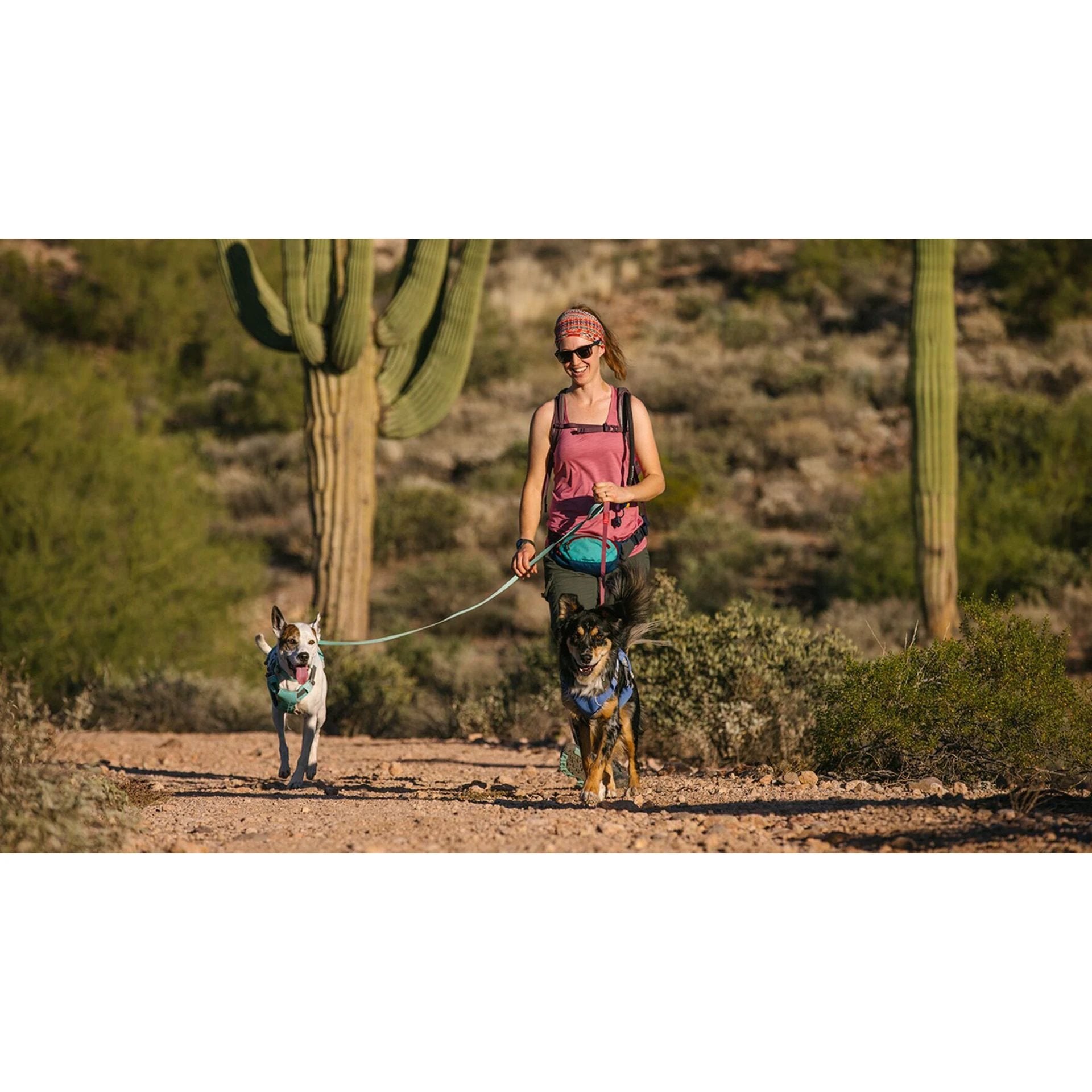 Ruffwear Hi & Light™ Leash by Ruffwear
