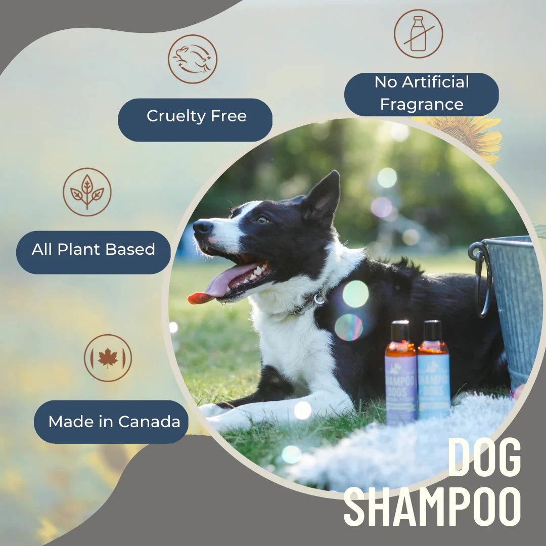 BLACK SHEEP -Lemongrass & Mint Organic Dog Shampoo by Black Sheep