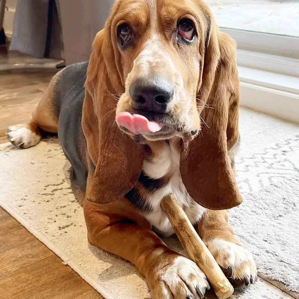 Only One Treats Coffee Wood Chew for Dogs by Only One Treats