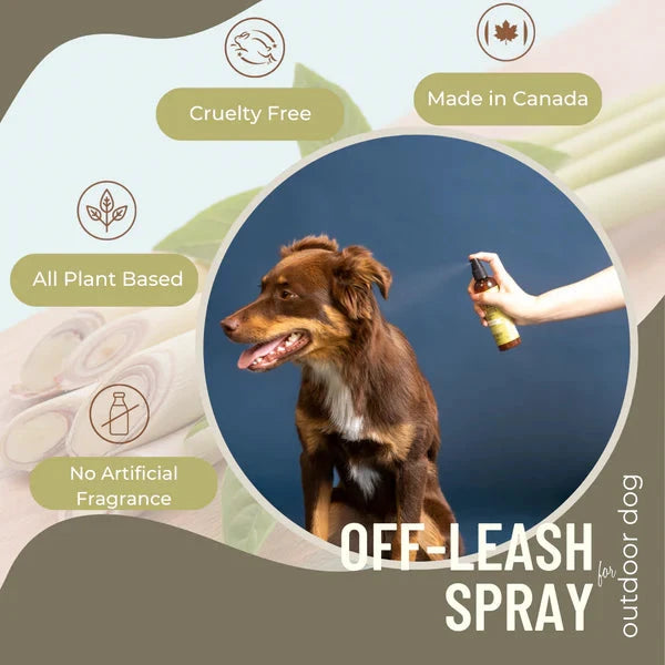 BLACK SHEEP - Lemongrass & Mint Organic Off Leash Spray – Refreshing and Ease Discomfort During and After Outdoor Activities – 4oz