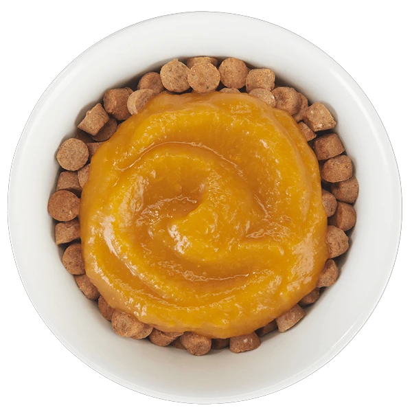 Tiki Cat® Tummy Topper™ Pumpkin Recipe Puree Grain Free Topper for Cats by Tiki Cat