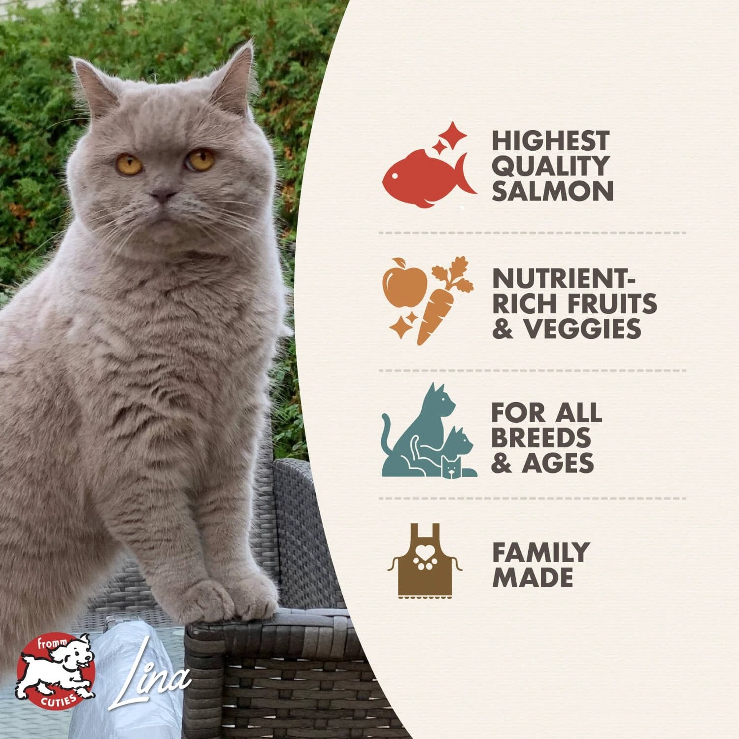 Fromm Four Star Salmon Tunachovy Recipe Cat Food by FROMM
