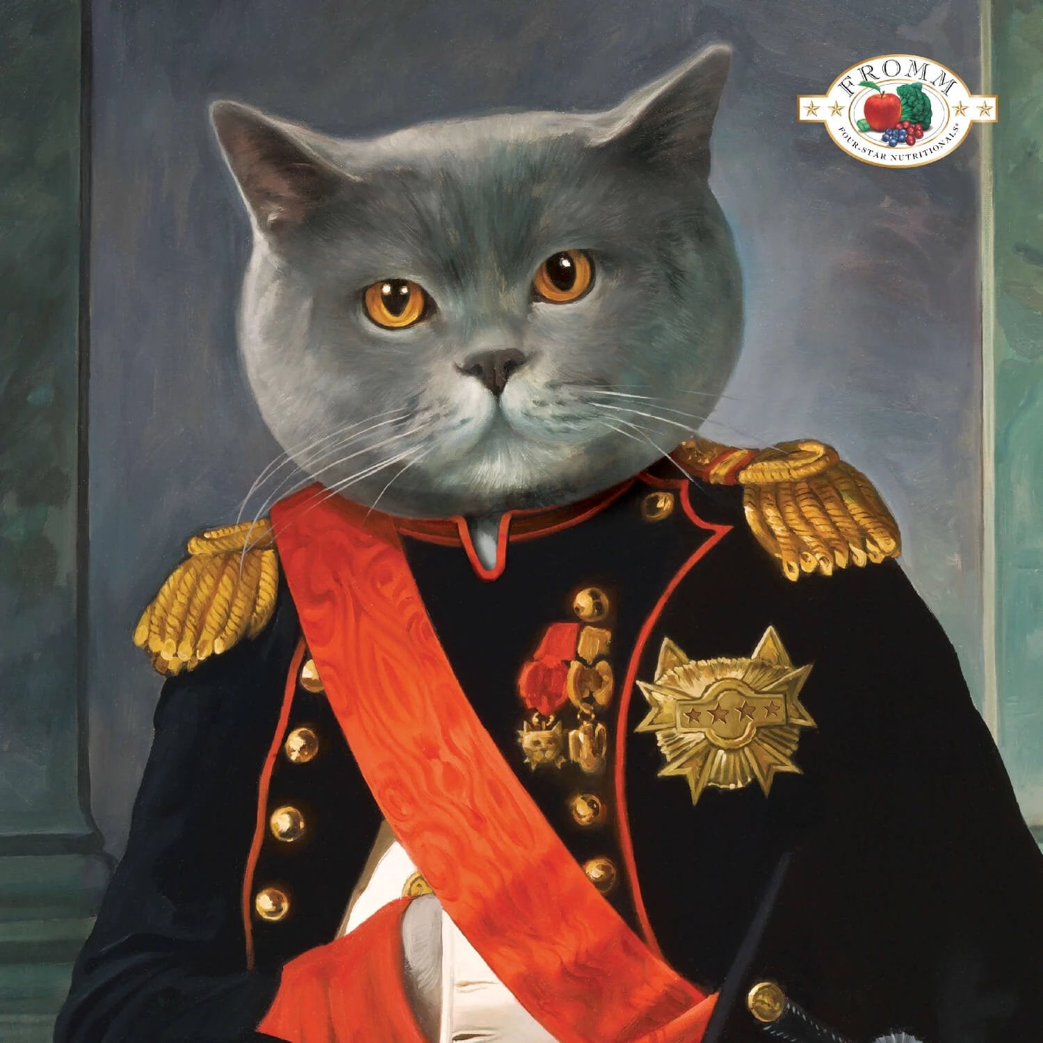 Fromm Four Star Chicken Au Frommage Recipe Cat Food by FROMM