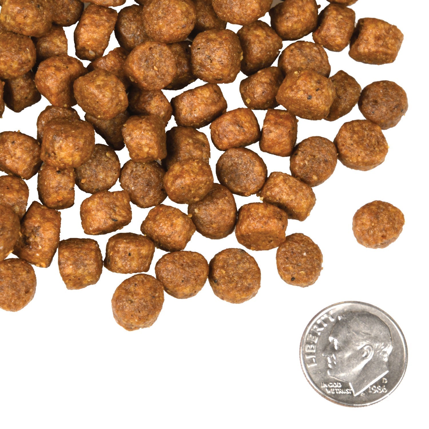 Fromm Four Star - Frittata de bœuf végétarienne pour chien