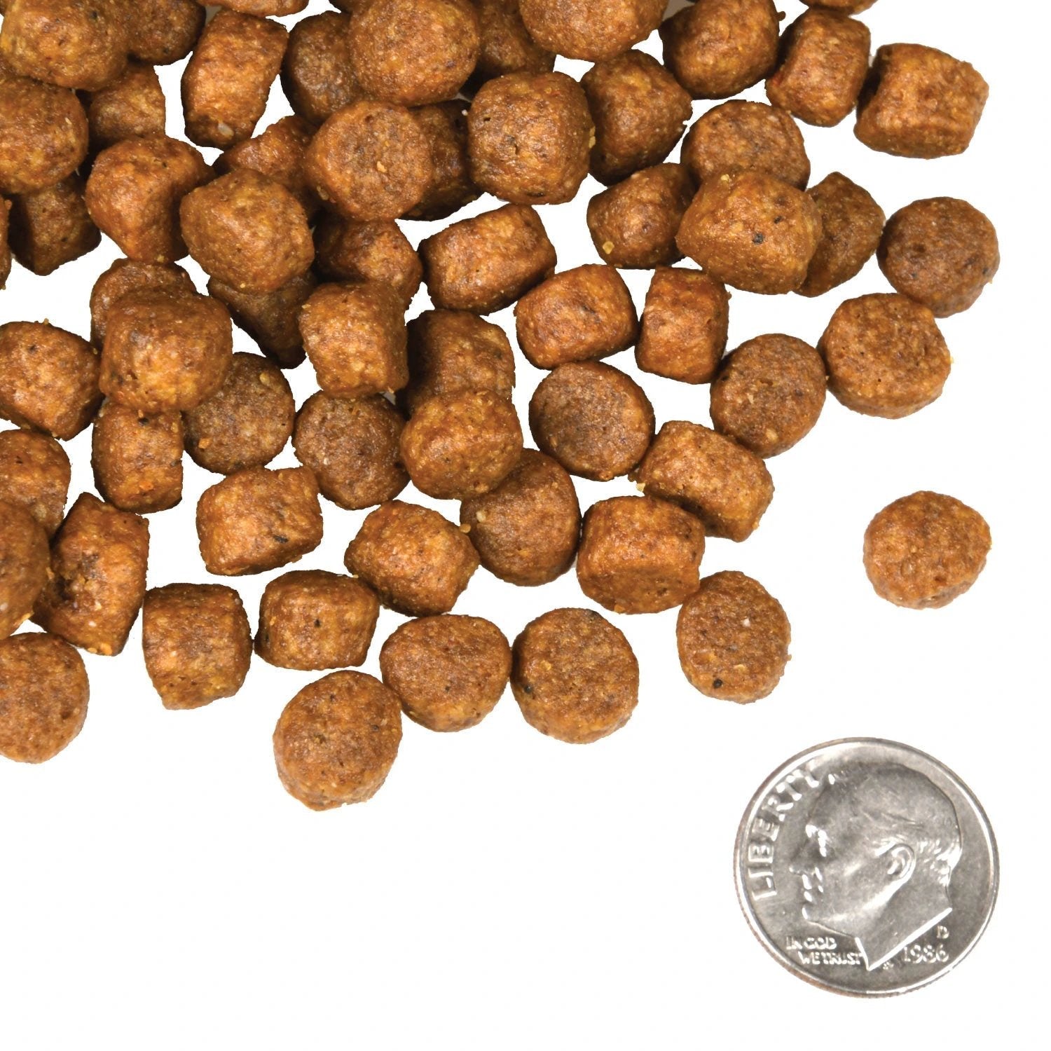 Fromm Four Star Beef Frittata Veg Recipe Dog Food by FROMM