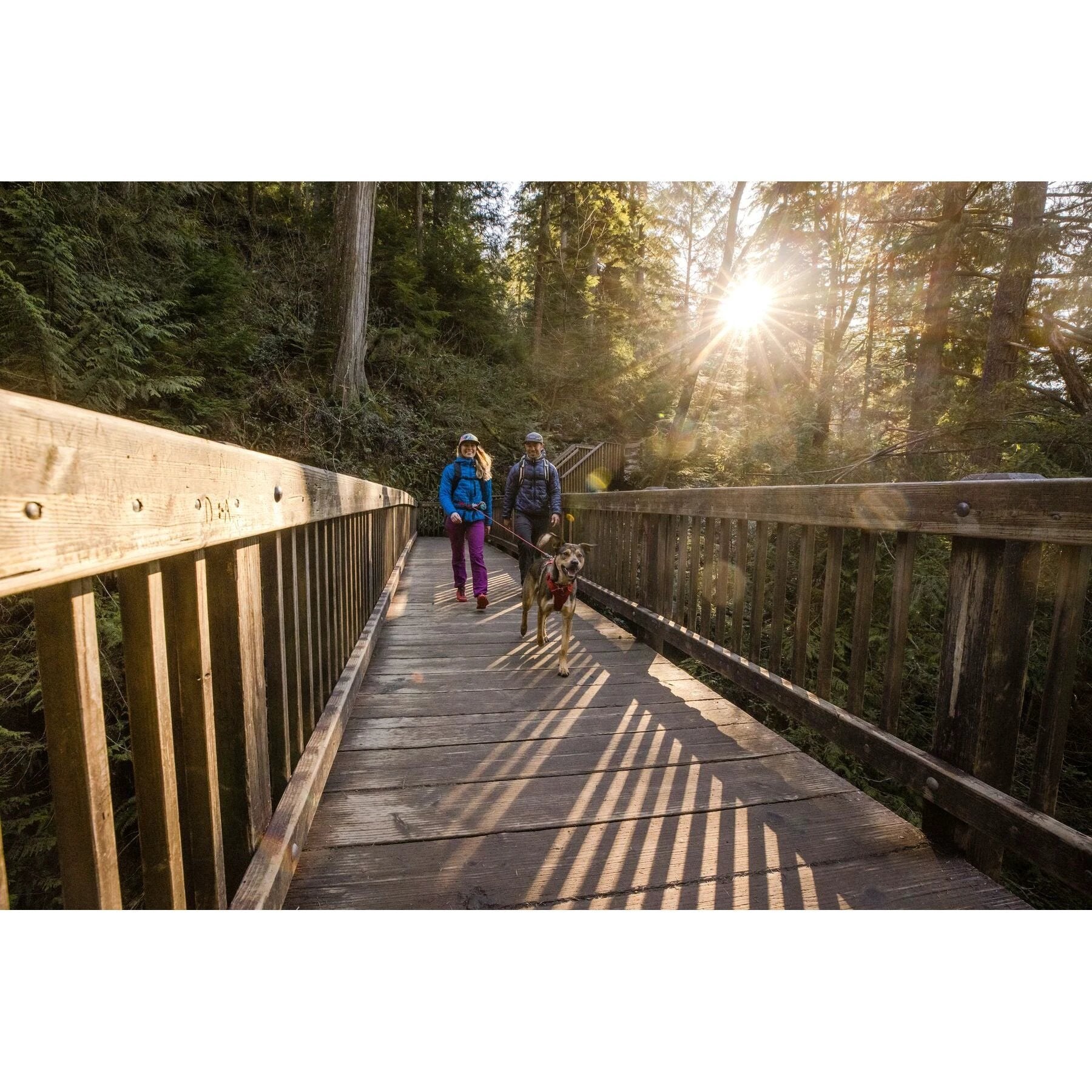 (Pre-Book)Ruffwear Hitch Hiker™ Leash by Ruffwear