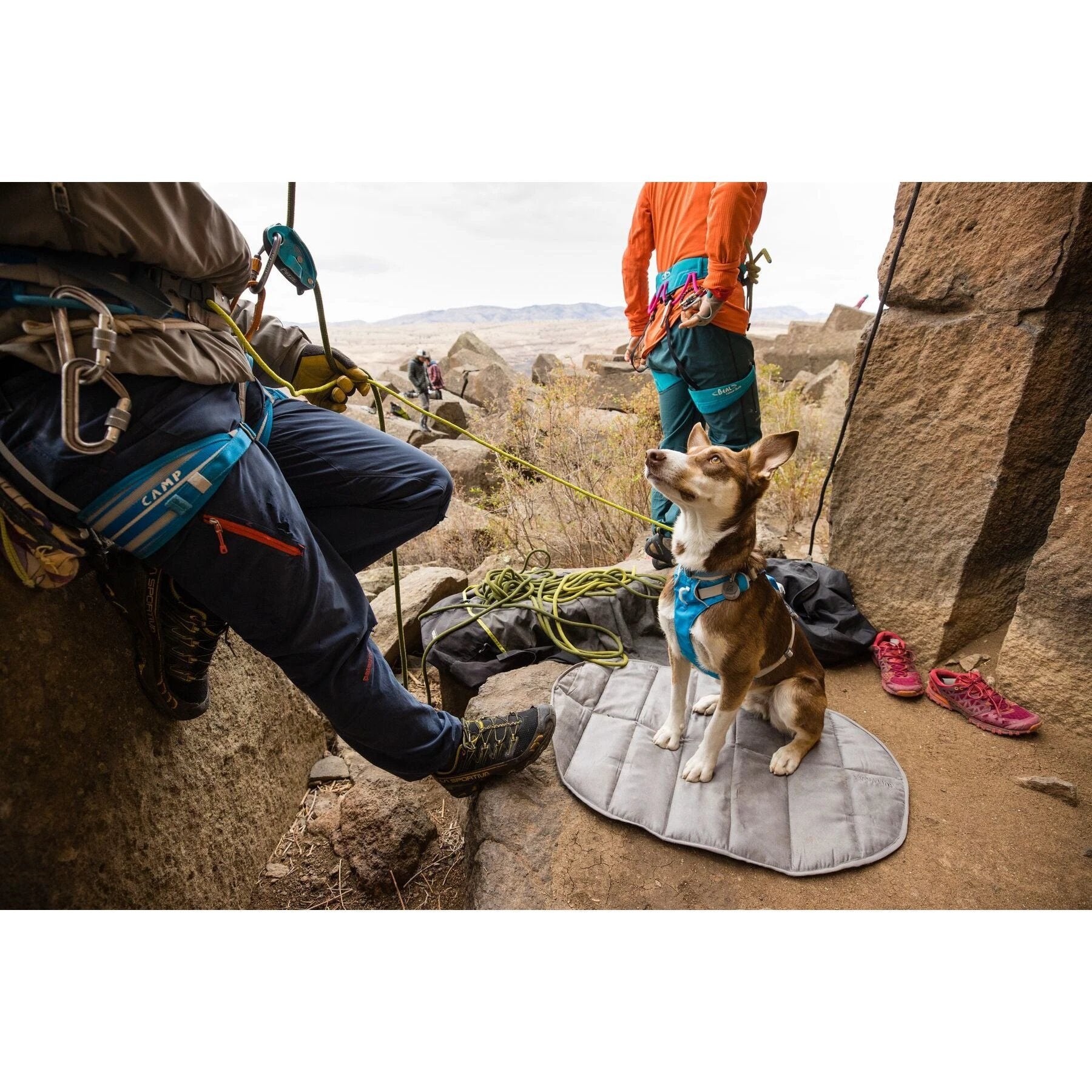 Ruffwear Highlands™ Dog Pad Cloudburst Gray by Ruffwear