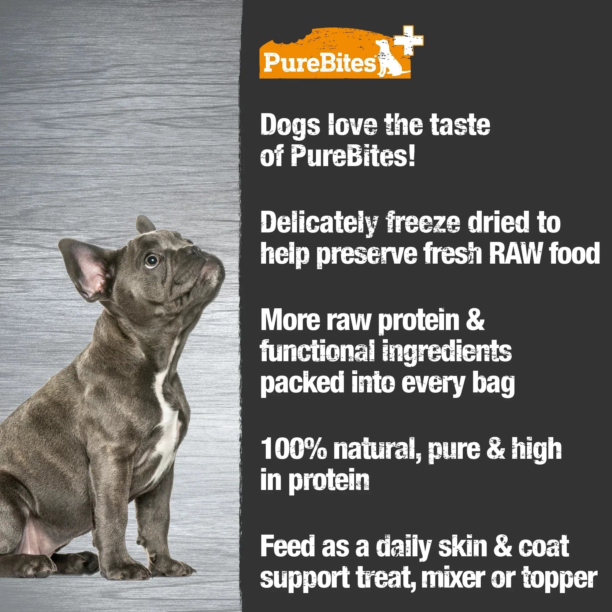 PureBites Skin & Coat Freeze Dried Dog Treats by PureBites