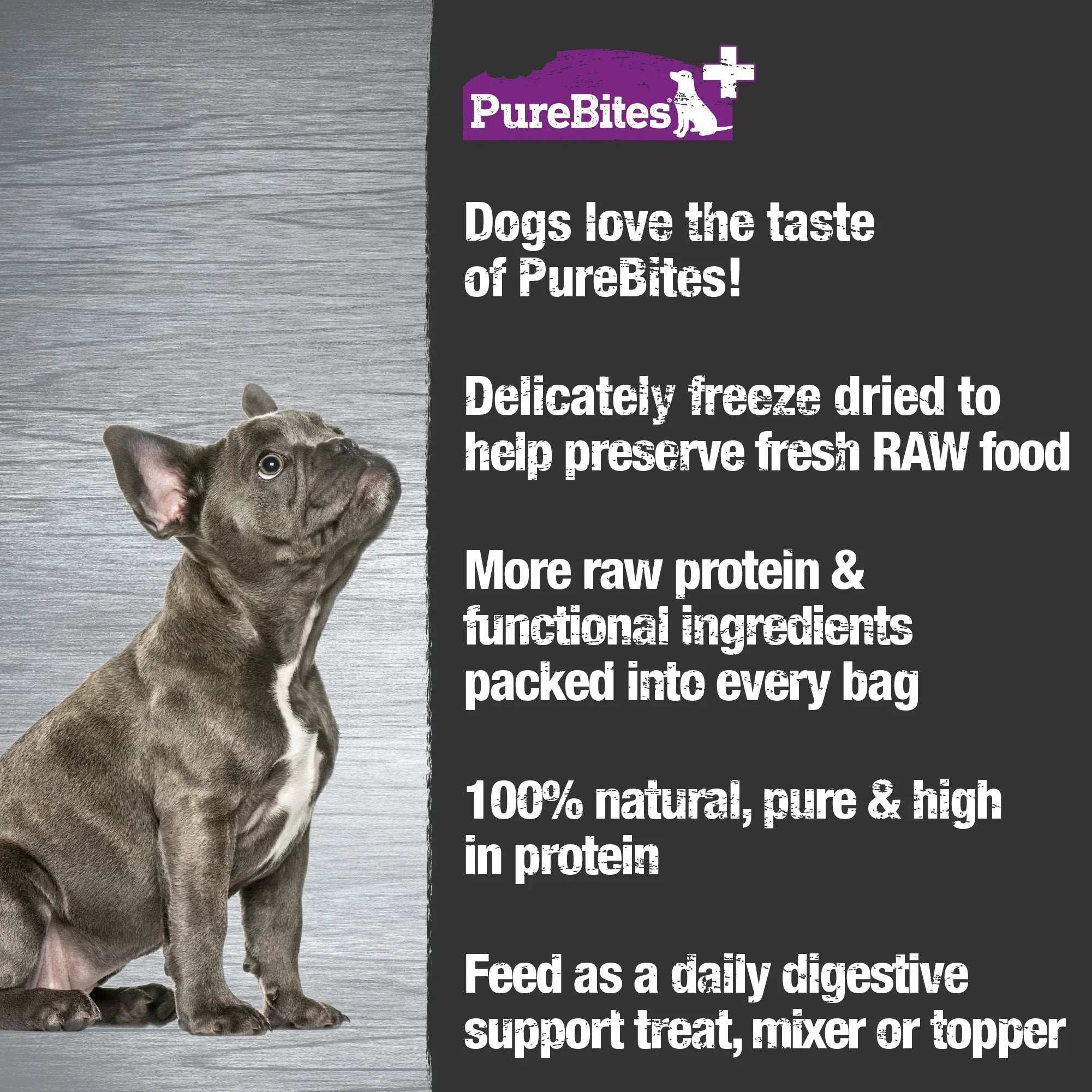 PureBites Digestion Freeze-Dried Dog Treats by PureBites
