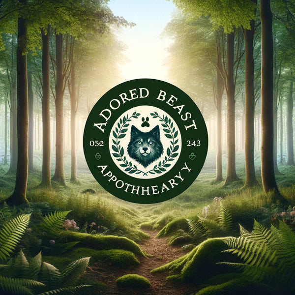 Holistic Harmony: Unleashing the Power of Nature with Adored Beast Apothecary