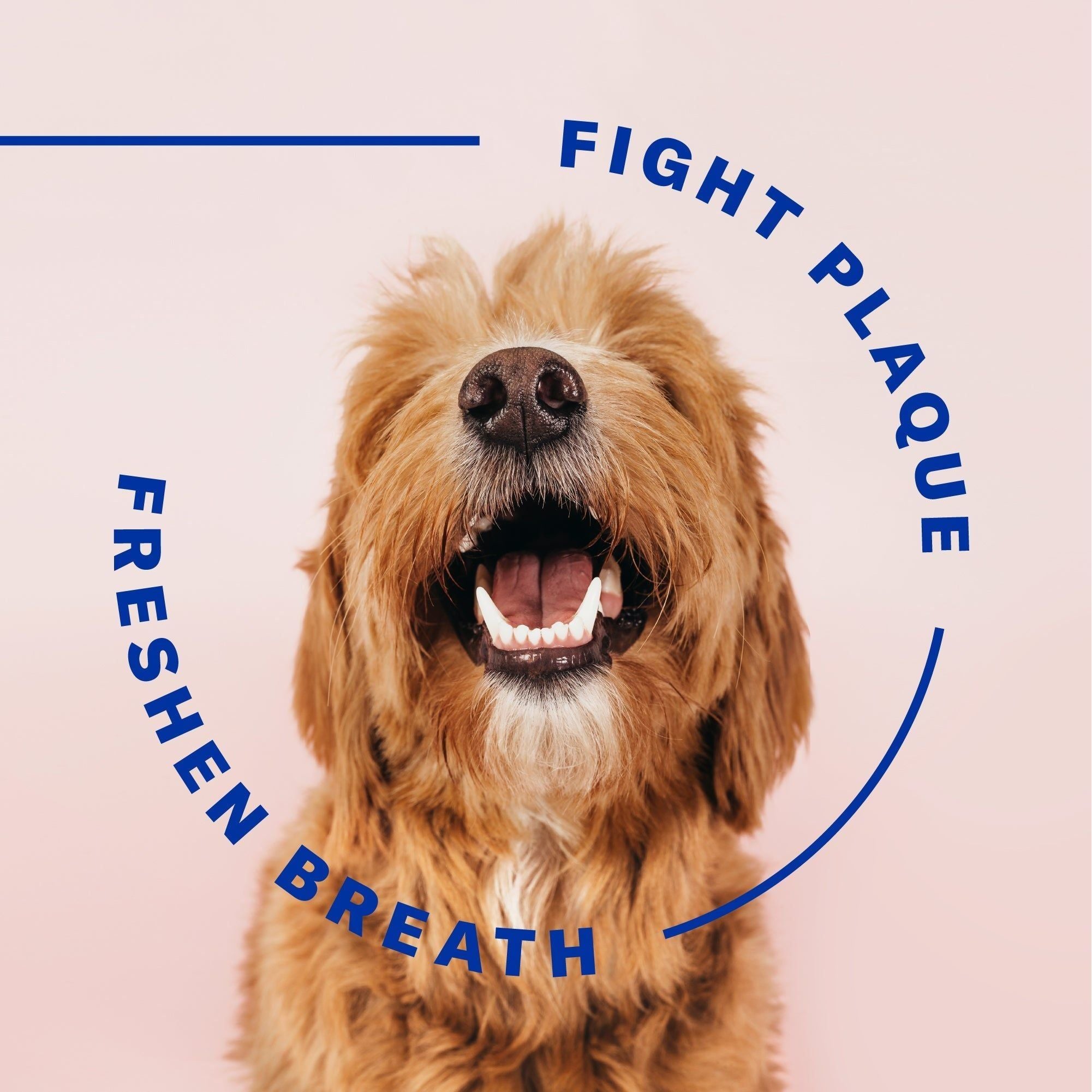 Suchgood Original Water Additive for Pets 16oz