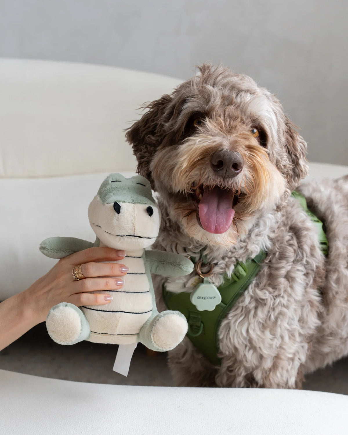Dexypaws Plush Dog Toy  - Crocodile 8"
