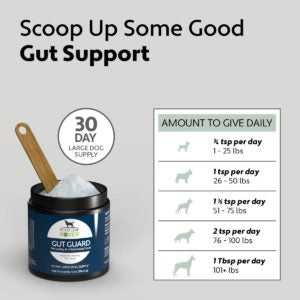 Four Leaf Rover - Gut Guard - For Dogs With Irritated, Leaky Guts