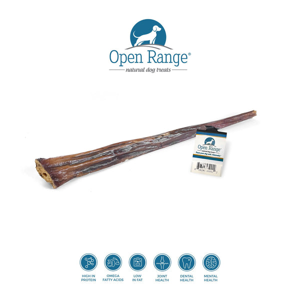 Open Range - Beef Chomper Stick Dog 12in