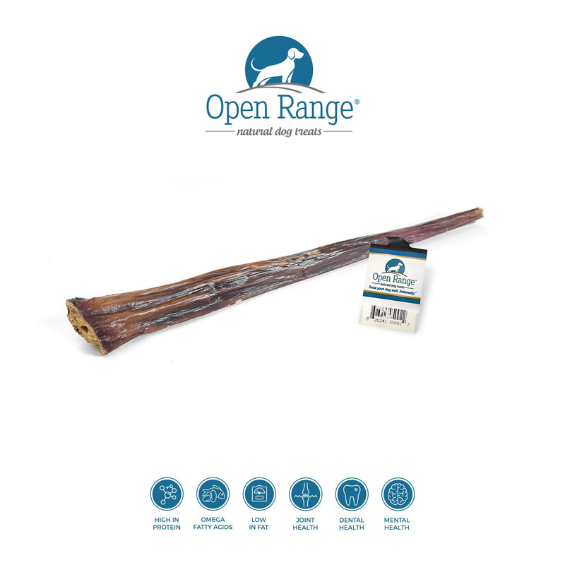 Open Range - Beef Chomper Stick Dog 12in